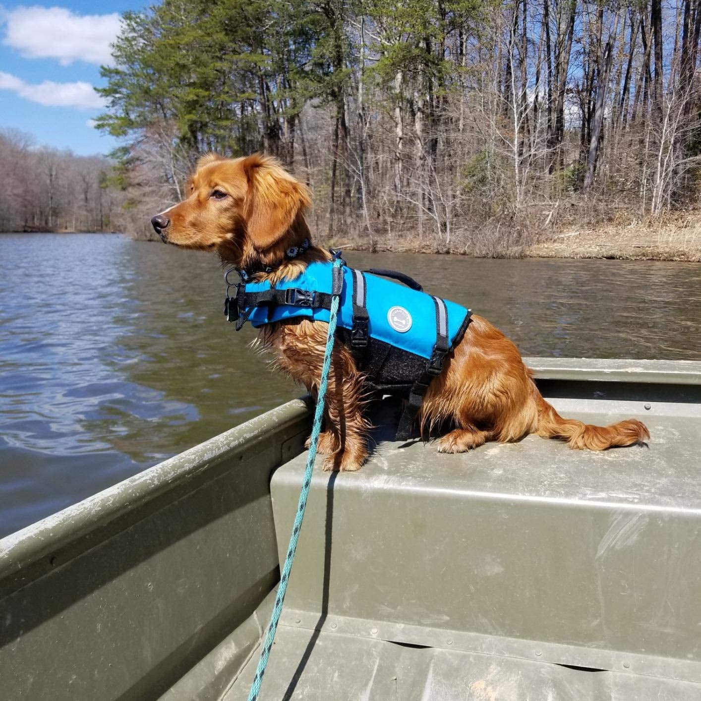 Ripstop Dog Life Jacket for Small Medium Large Dogs Boating, Swimming Vest for Dogs with Enhanced Buoyancy& Visibility, Blue