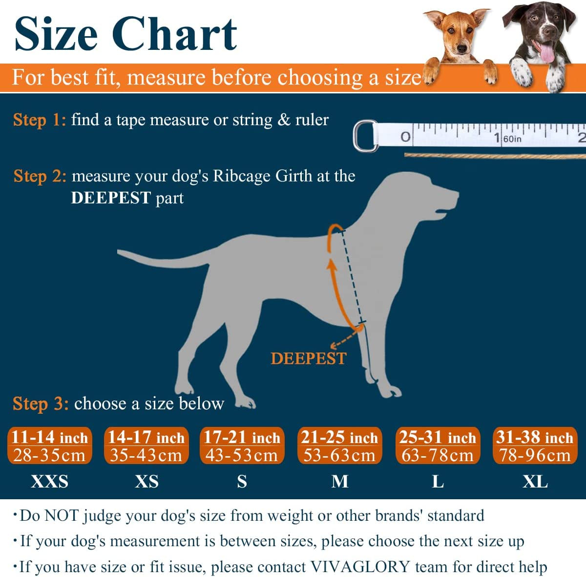 Ripstop Dog Life Jacket for Small Medium Large Dogs Boating, Swimming Vest for Dogs with Enhanced Buoyancy& Visibility, Blue